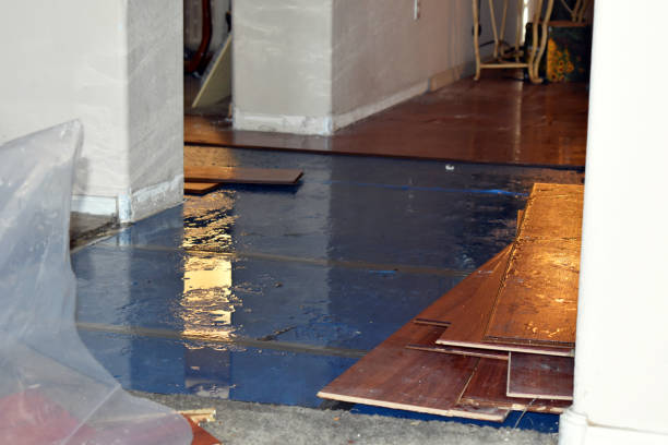 Professional Crawl Space Water Removal technician working in Center Conway, NH